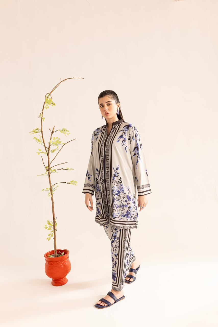 Blue & White Printed Co-ord Set – Contemporary Ethnic Charm